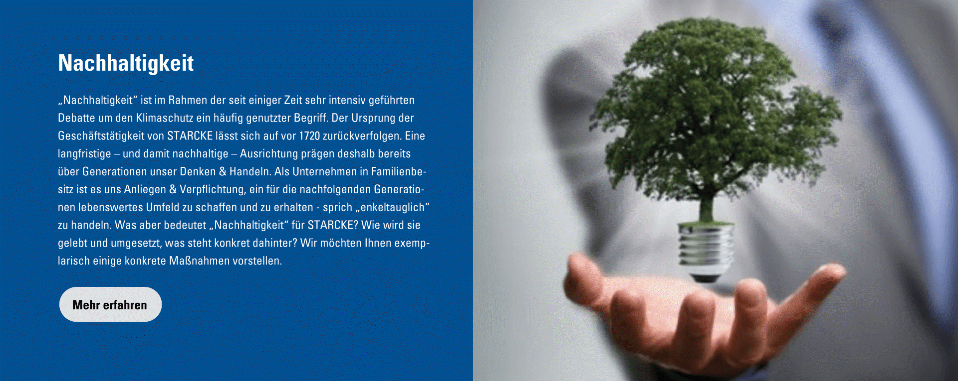 Ein Baum schwebt in der Hand einer Person